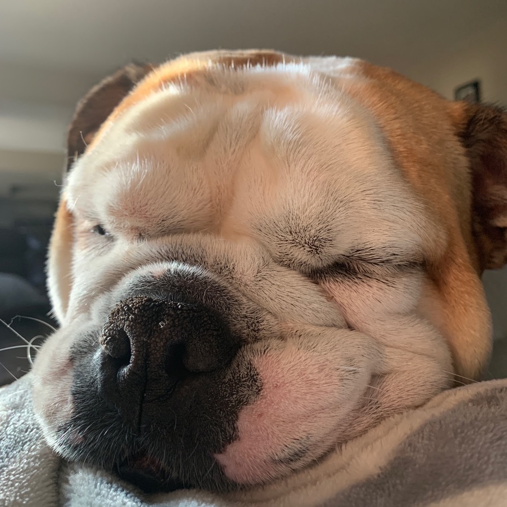 Meet your Posher, Liz